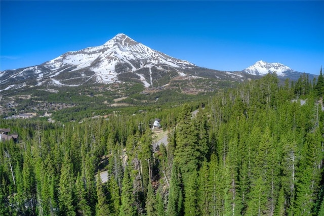 105A Beehive Basin Rd, Big Sky, MT 59730