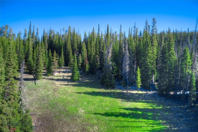 105A Beehive Basin Rd, Big Sky, MT 59730