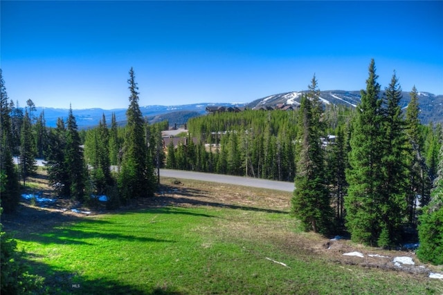 105A Beehive Basin Rd, Big Sky, MT 59730