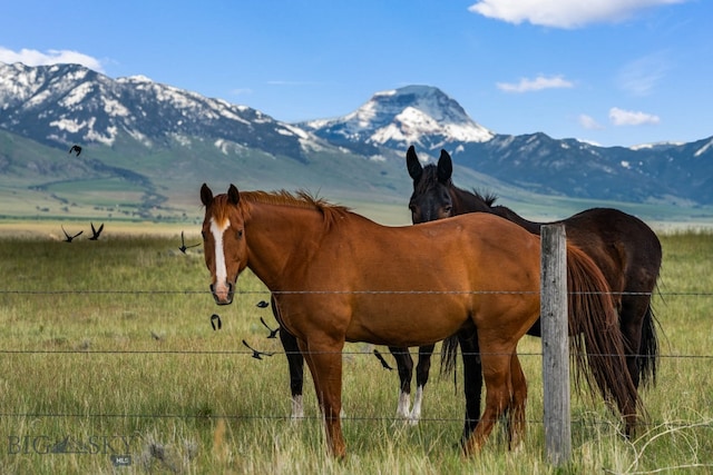 view of mountain feature with a rural view