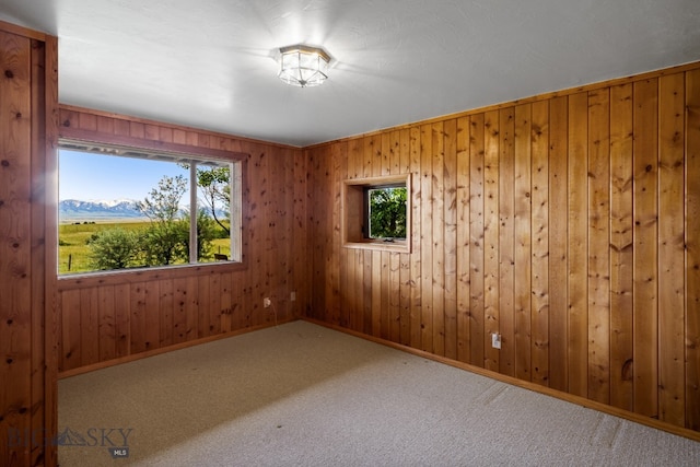 carpeted empty room featuring wood walls