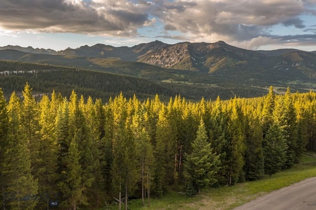 TBD Bitterbrush Rd, Big Sky, MT 59716