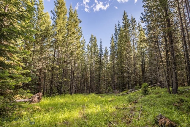 TBD Bitterbrush Rd, Big Sky, MT 59716