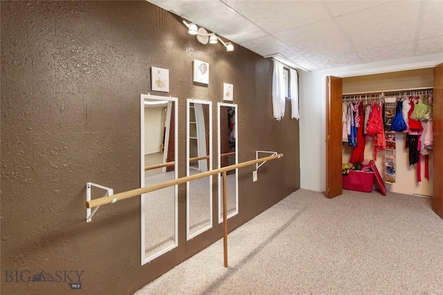 corridor with carpet floors, a drop ceiling, and a textured wall