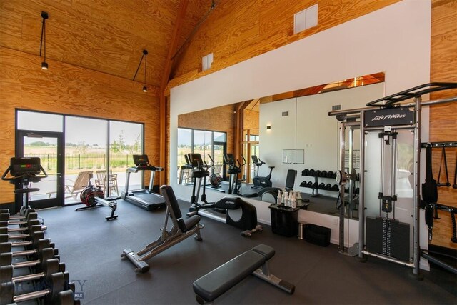 gym featuring high vaulted ceiling