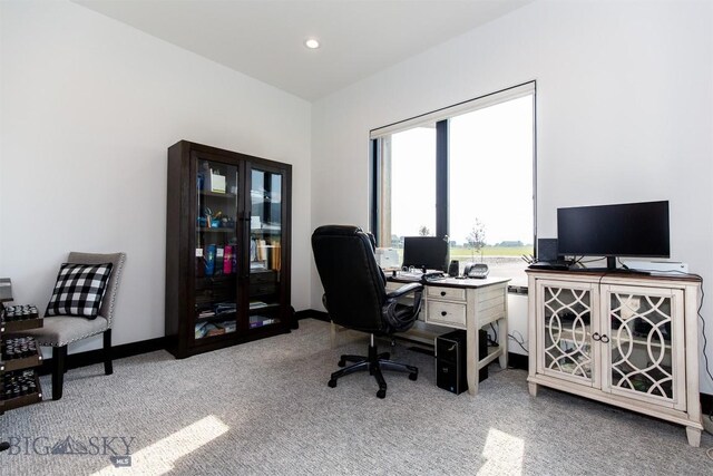 office area featuring light colored carpet