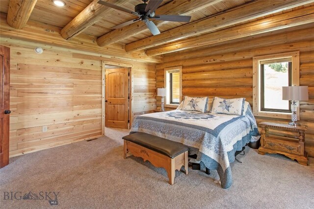 9 Nordic Trl, Butte, MT 59701 - photo 34