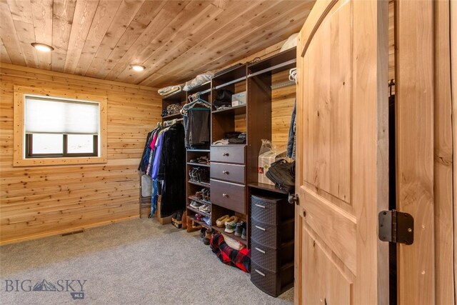 9 Nordic Trl, Butte, MT 59701 - photo 38