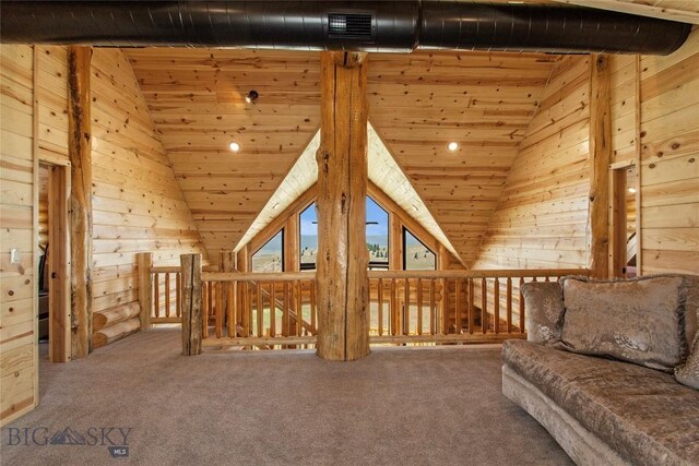 9 Nordic Trl, Butte, MT 59701 - photo 50