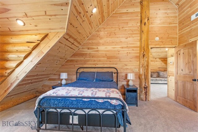 9 Nordic Trl, Butte, MT 59701 - photo 53