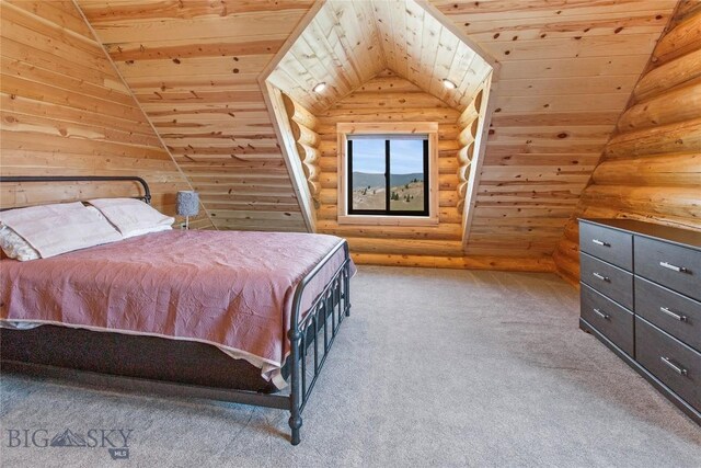 9 Nordic Trl, Butte, MT 59701 - photo 58