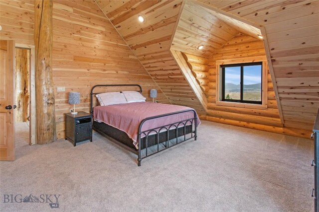 9 Nordic Trl, Butte, MT 59701 - photo 59