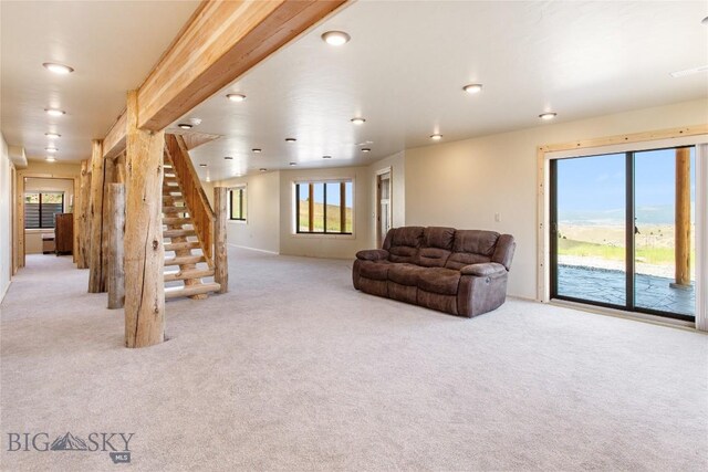 9 Nordic Trl, Butte, MT 59701 - photo 66