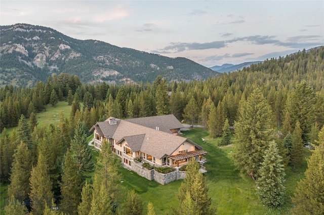 aerial view with a mountain view