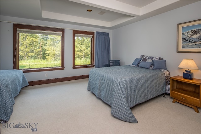 bedroom with carpet flooring and a raised ceiling