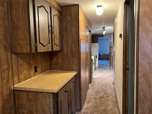 hall featuring wood walls and carpet