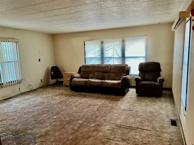 living room featuring carpet