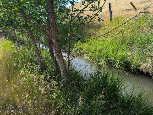 view of local wilderness featuring a water view