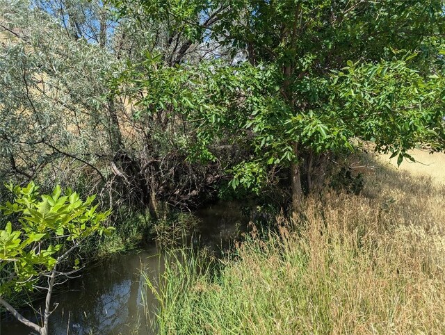 view of local wilderness featuring a water view