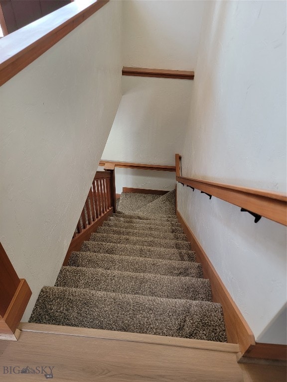 staircase featuring hardwood / wood-style flooring