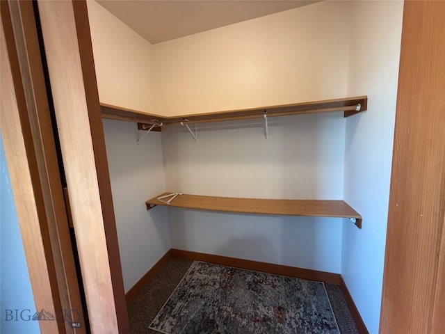 walk in closet with carpet flooring