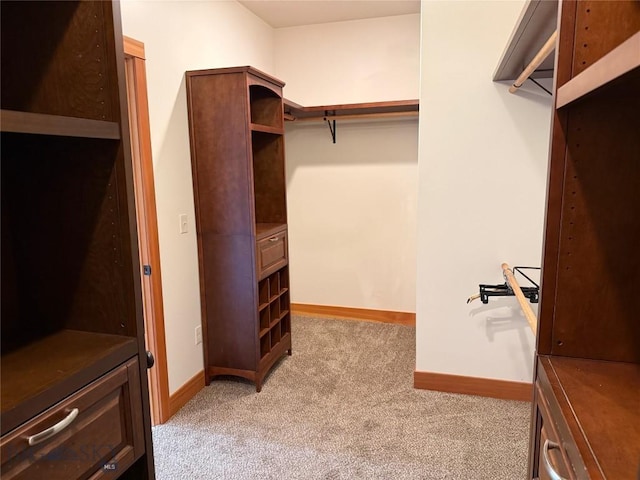 spacious closet with carpet