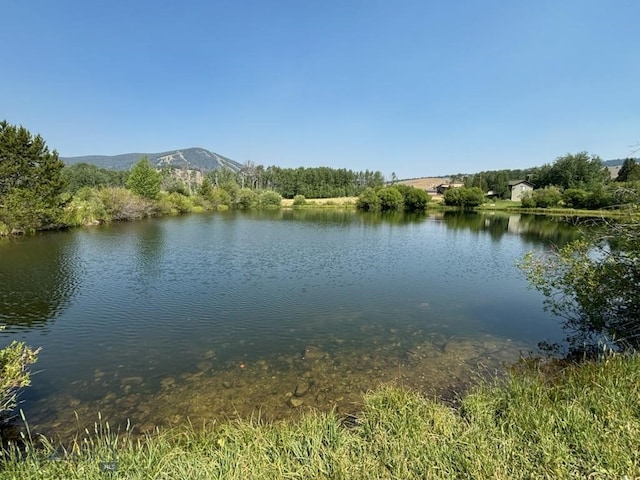 151 Aspen View Dr, Polaris, MT 59746