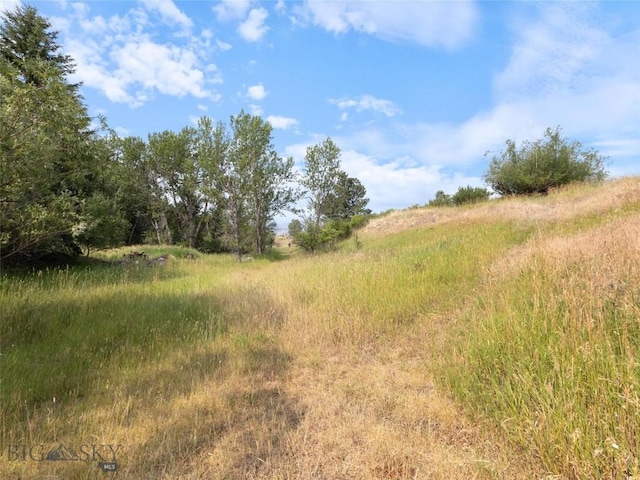 view of local wilderness featuring a rural view