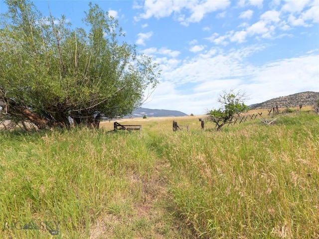 view of yard with a mountain view and a rural view