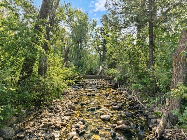 view of nature