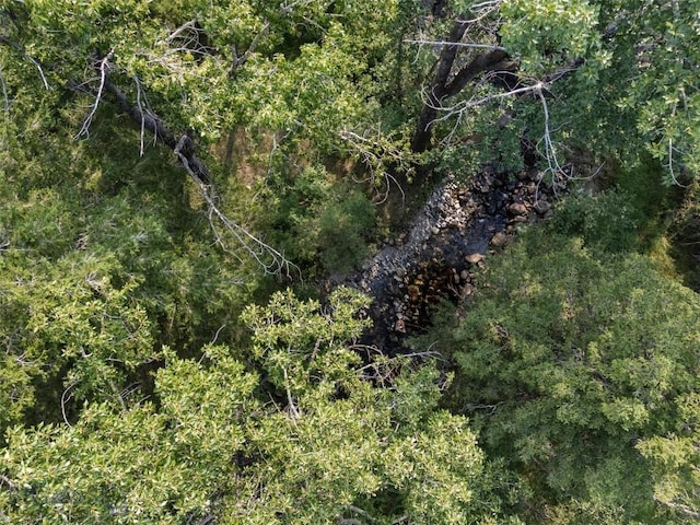 view of local wilderness