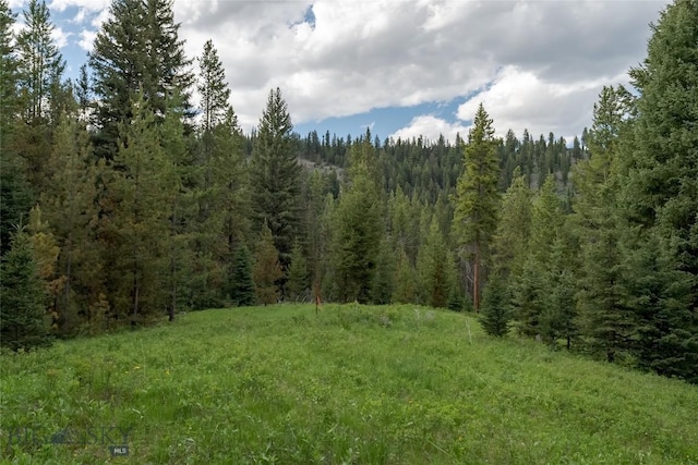 LOT32 Colters Run Loop, Gallatin Gateway, MT 59730 - photo 2