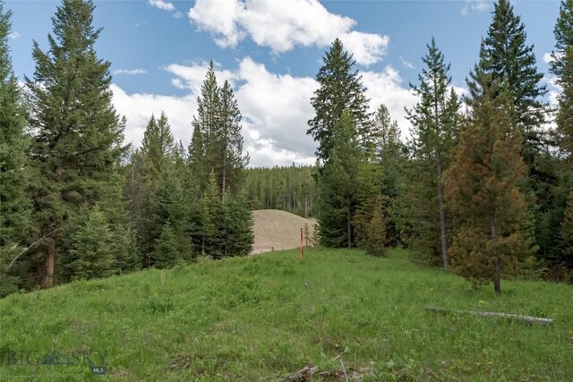 LOT32 Colters Run Loop, Gallatin Gateway, MT 59730 - photo 4