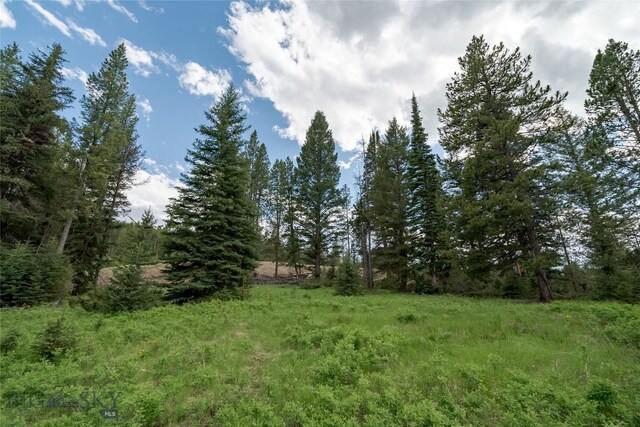 LOT32 Colters Run Loop, Gallatin Gateway, MT 59730 - photo 5