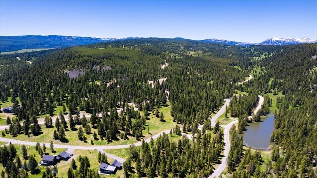 LOT32 Colters Run Loop, Gallatin Gateway, MT 59730 - photo 10