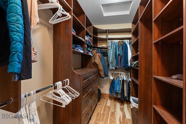 walk in closet with light wood-type flooring