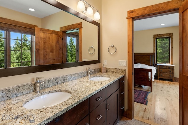 bathroom featuring wood-type flooring, vanity, and plenty of natural light