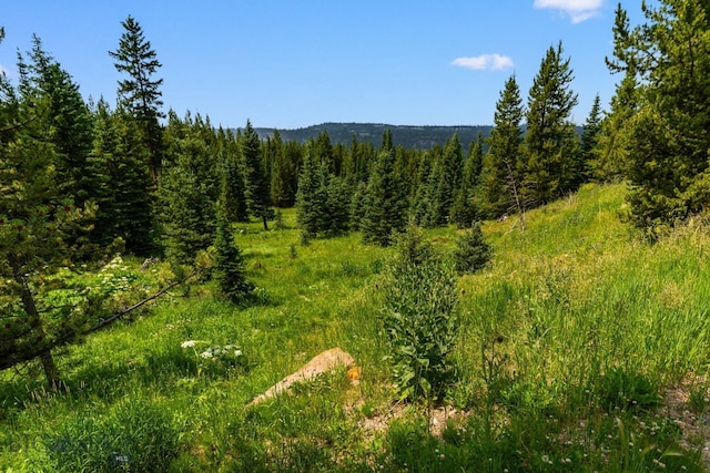 220 Watershed Rd, Big Sky, MT 59716 - view of mountain background featuring a heavily wooded area