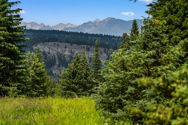 property view of mountains