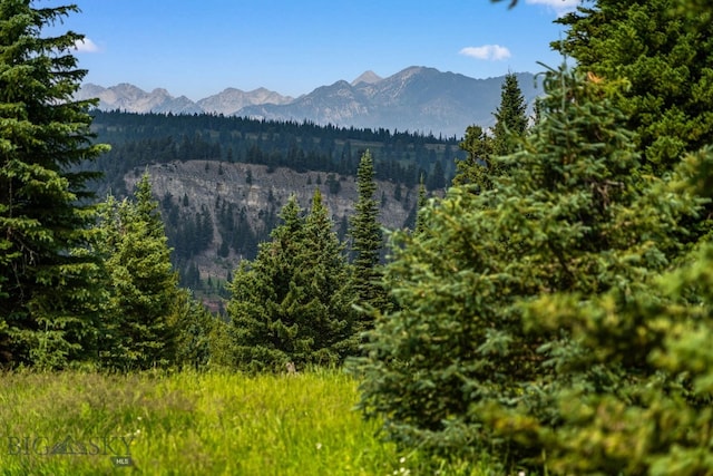 220 Watershed Rd, Big Sky, MT 59716 - view of mountain backdrop featuring a heavily wooded area