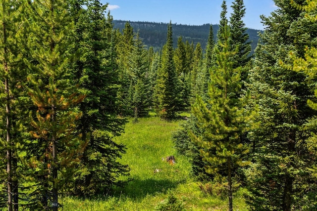 view of landscape