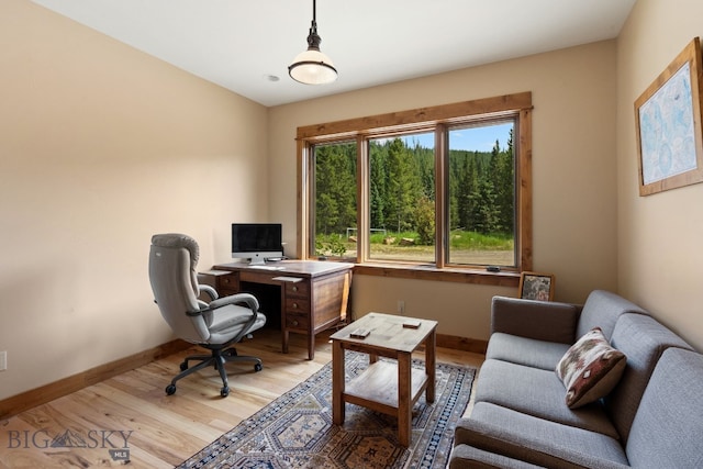 office featuring light hardwood / wood-style flooring