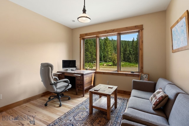 220 Watershed Rd, Big Sky, MT 59716 - office space with light wood-style flooring and baseboards