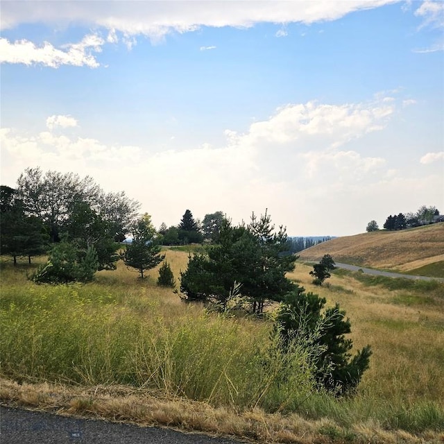 TBD Itana Cir, Bozeman, MT 59715 - photo 6