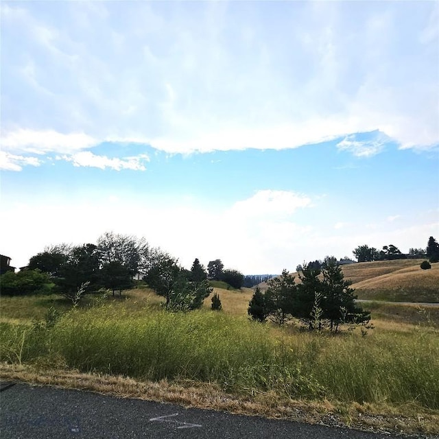TBD Itana Cir, Bozeman, MT 59715 - photo 8