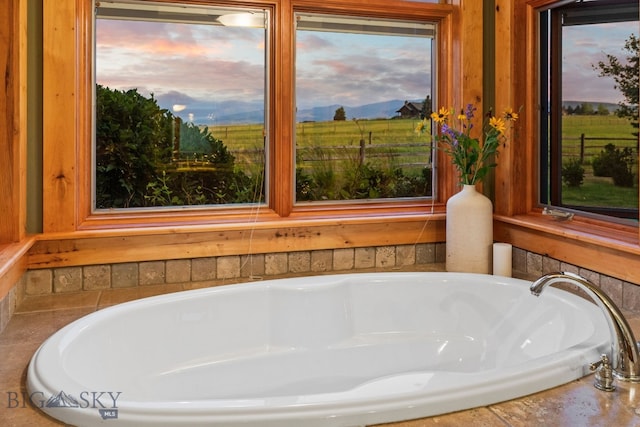 bathroom with a bathing tub