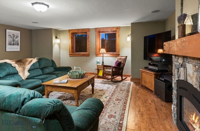 living room featuring a fireplace and light wood-type flooring