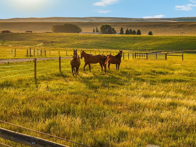 exterior space with a rural view