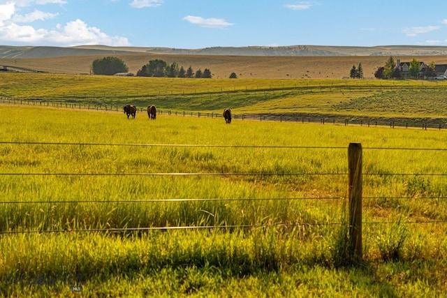 exterior space featuring a mountain view and a rural view