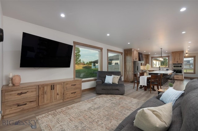 living room with light hardwood / wood-style floors